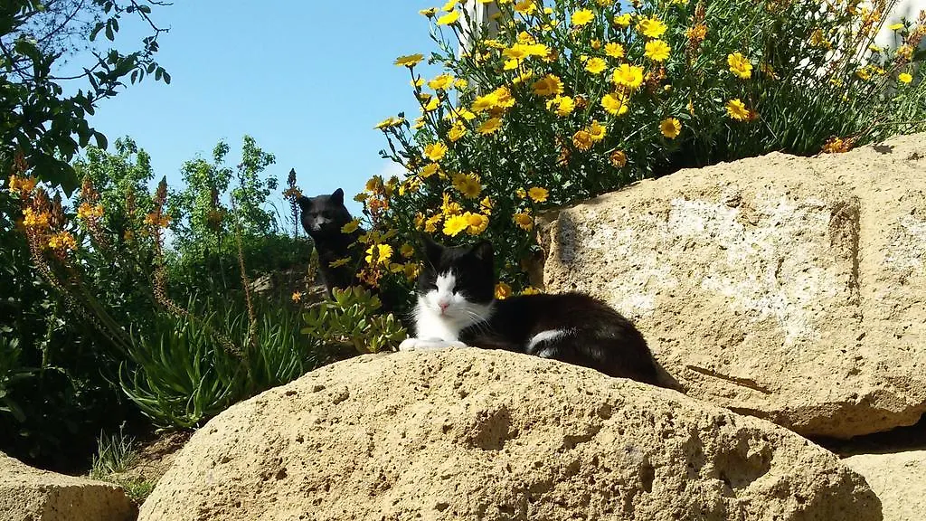 Podere Le Chiuse Sovana