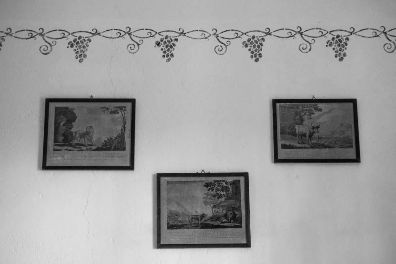 Podere Le Chiuse Sovana Casa vacanze