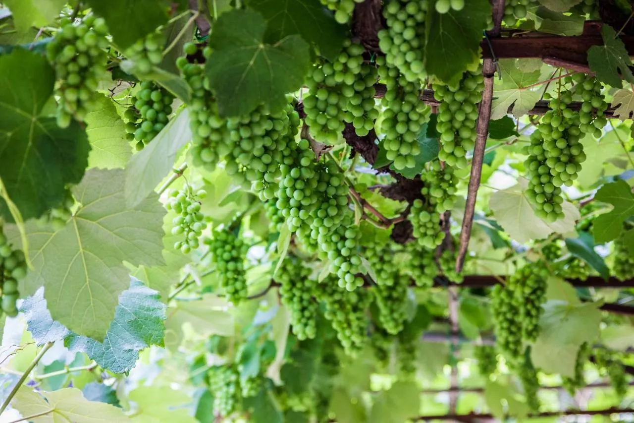 Podere Le Chiuse Sovana